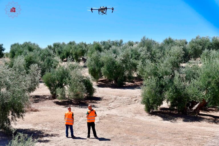 MarangoDrones acerca la agricultura de precisión al campo durante FEMA